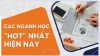 Ưu và nhược điểm của 5 ngành học Hot hiện nay